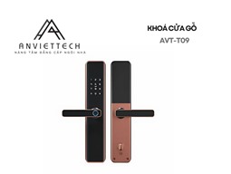 Khóa vân tay cửa gỗ AVT-T09
